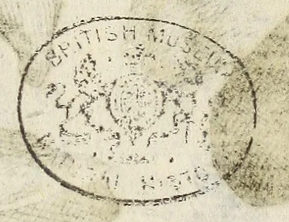 An illustration from Miscellanea Curiosa, sive Ephemiridum Medico-Physicarum Germanicarum Academiae Naturae Curiosorum, 1683, leaf 317