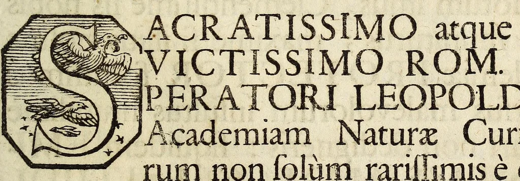 An illustration from Miscellanea Curiosa, sive Ephemiridum Medico-Physicarum Germanicarum Academiae Naturae Curiosorum, 1683, leaf 615