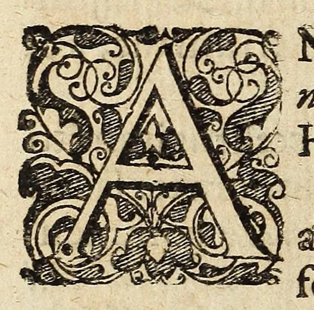 An illustration from Miscellanea Curiosa, sive Ephemiridum Medico-Physicarum Germanicarum Academiae Naturae Curiosorum, 1683, leaf 640