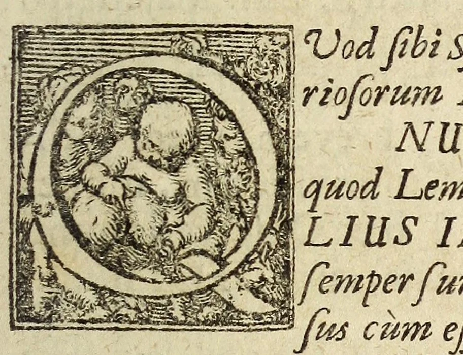 An illustration from Miscellanea Curiosa, sive Ephemiridum Medico-Physicarum Germanicarum Academiae Naturae Curiosorum, 1683, leaf 683