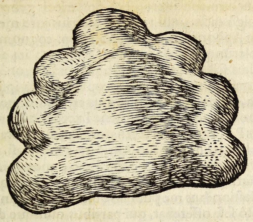An illustration from Miscellanea Curiosa, sive Ephemiridum Medico-Physicarum Germanicarum Academiae Naturae Curiosorum, 1683, leaf 71