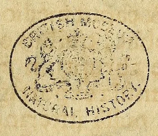 An illustration from Miscellanea Curiosa, sive Ephemiridum Medico-Physicarum Germanicarum Academiae Naturae Curiosorum, 1694, leaf 301