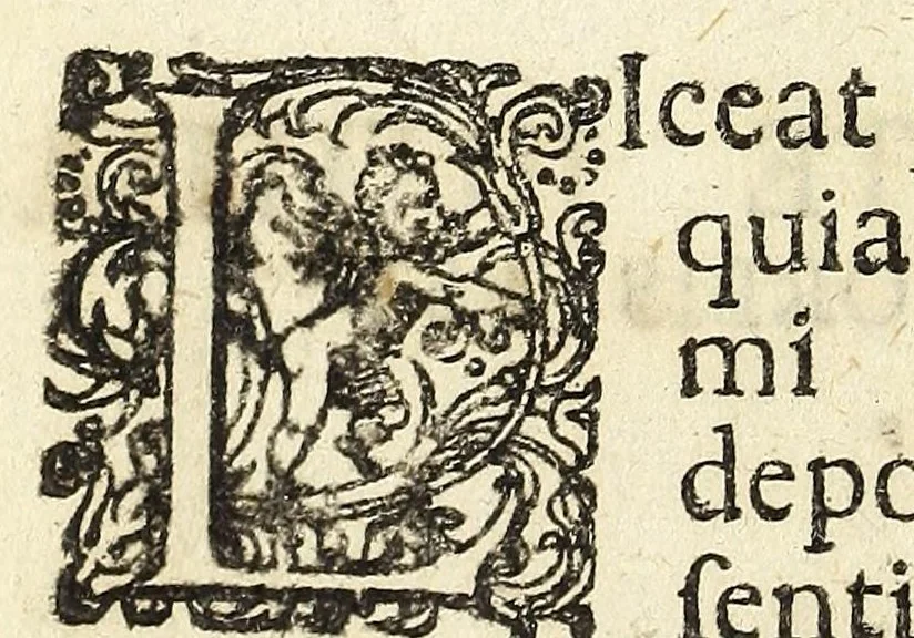 An illustration from Miscellanea Curiosa, sive Ephemiridum Medico-Physicarum Germanicarum Academiae Naturae Curiosorum, 1694, leaf 592