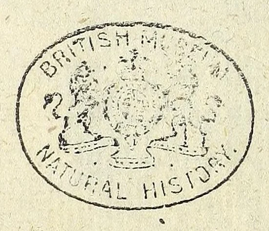 An illustration from Miscellanea Curiosa, sive Ephemiridum Medico-Physicarum Germanicarum Academiae Naturae Curiosorum, 1694, leaf 616
