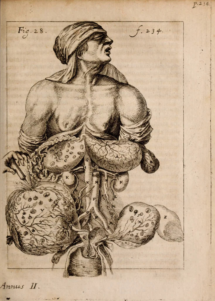 An illustration from Miscellanea curiosa, sive, Ephemeridum medico-physicarum Germanicarum Academiae Naturae curiosorum, 1683, leaf 1008