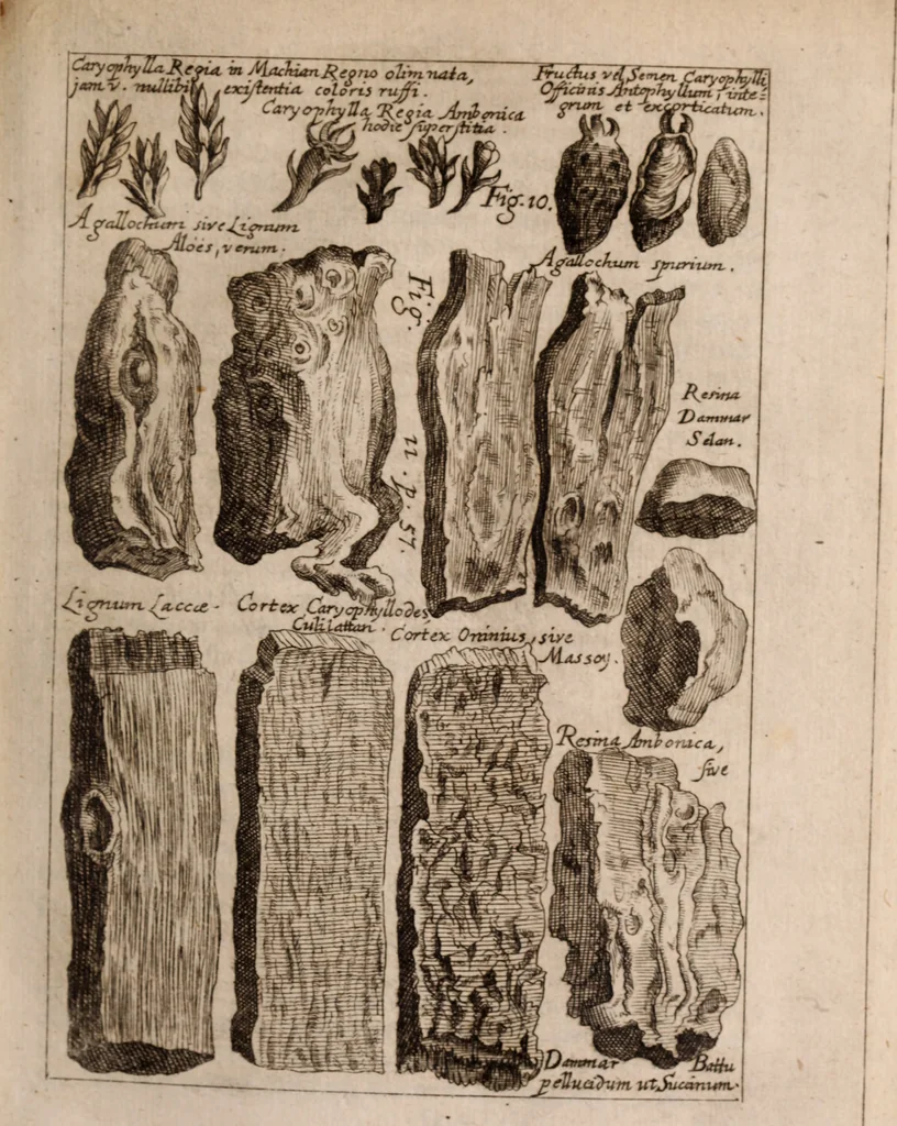 An illustration from Miscellanea curiosa, sive, Ephemeridum medico-physicarum Germanicarum Academiae Naturae curiosorum, 1683, leaf 126