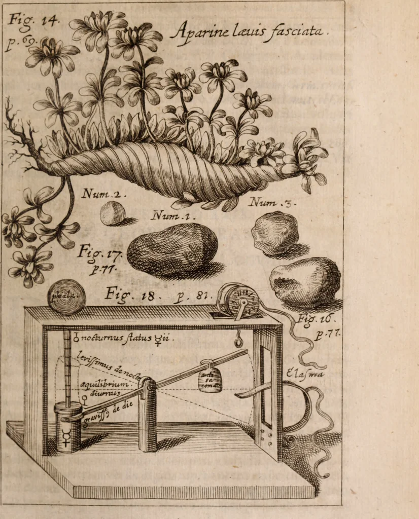An illustration from Miscellanea curiosa, sive, Ephemeridum medico-physicarum Germanicarum Academiae Naturae curiosorum, 1683, leaf 154