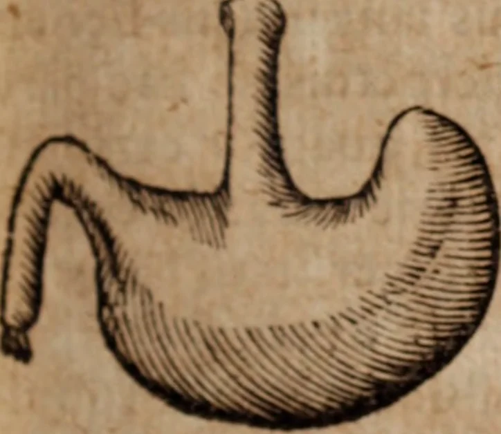 An illustration from Miscellanea curiosa, sive, Ephemeridum medico-physicarum Germanicarum Academiae Naturae curiosorum, 1683, leaf 432