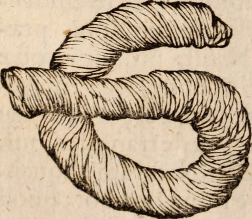 An illustration from Miscellanea curiosa, sive, Ephemeridum medico-physicarum Germanicarum Academiae Naturae curiosorum, 1683, leaf 451