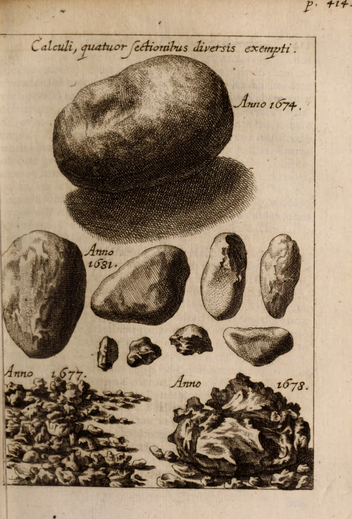 An illustration from Miscellanea curiosa, sive, Ephemeridum medico-physicarum Germanicarum Academiae Naturae curiosorum, 1683, leaf 532