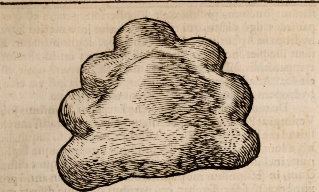 An illustration from Miscellanea curiosa, sive, Ephemeridum medico-physicarum Germanicarum Academiae Naturae curiosorum, 1683, leaf 72