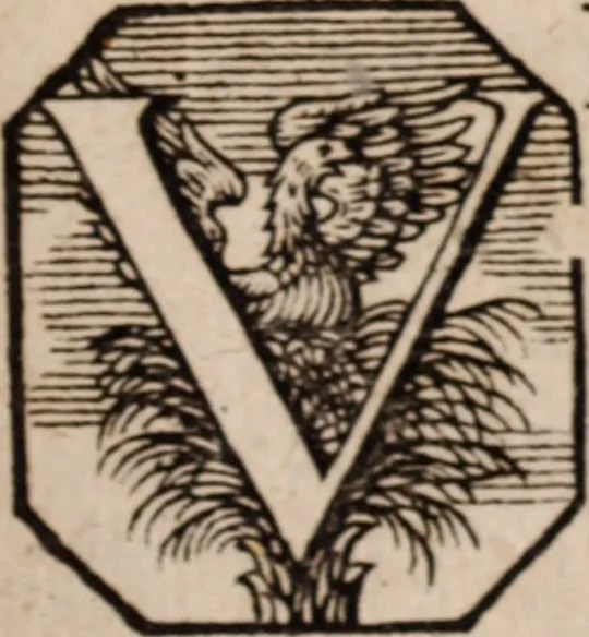 An illustration from Miscellanea curiosa, sive, Ephemeridum medico-physicarum Germanicarum Academiae Naturae curiosorum, 1683, leaf 734