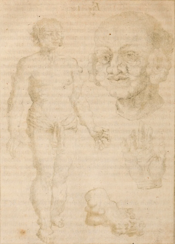 An illustration from Miscellanea curiosa, sive, Ephemeridum medico-physicarum Germanicarum Academiae Naturae curiosorum, 1683, leaf 757