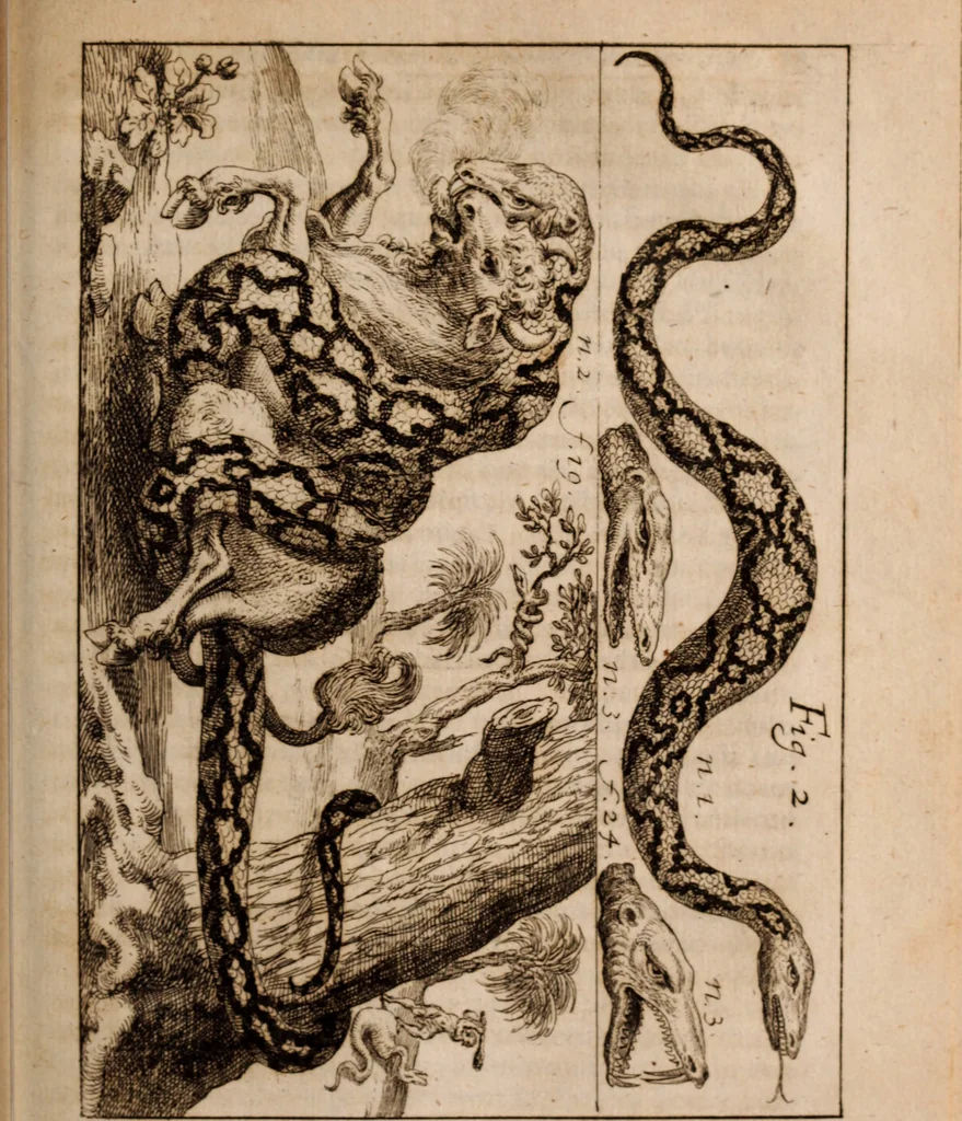 An illustration from Miscellanea curiosa, sive, Ephemeridum medico-physicarum Germanicarum Academiae Naturae curiosorum, 1683, leaf 768