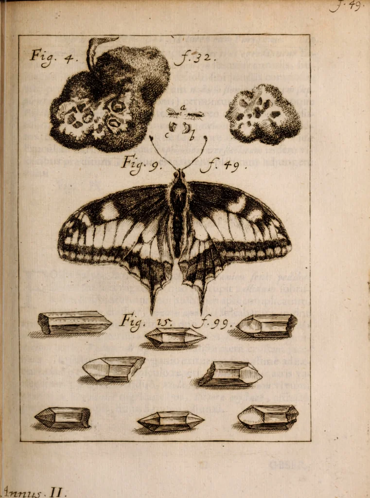 An illustration from Miscellanea curiosa, sive, Ephemeridum medico-physicarum Germanicarum Academiae Naturae curiosorum, 1683, leaf 808