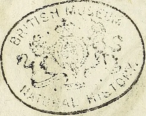An illustration from Miscellanea Curiosa Medico-Physica Academiae Naturae Curiosorum, 1671, leaf 165