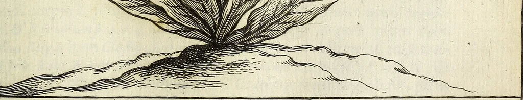 An illustration from Miscellanea Curiosa Medico-Physica Academiae Naturae Curiosorum, 1671, leaf 172