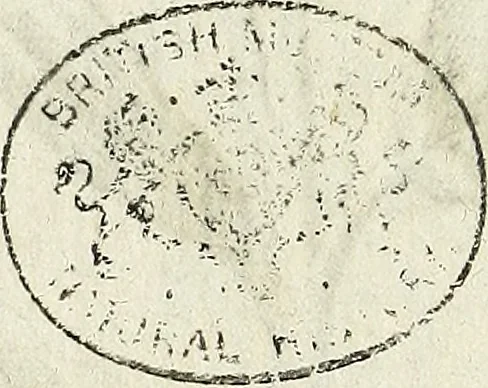 An illustration from Miscellanea Curiosa Medico-Physica Academiae Naturae Curiosorum, 1671, leaf 173