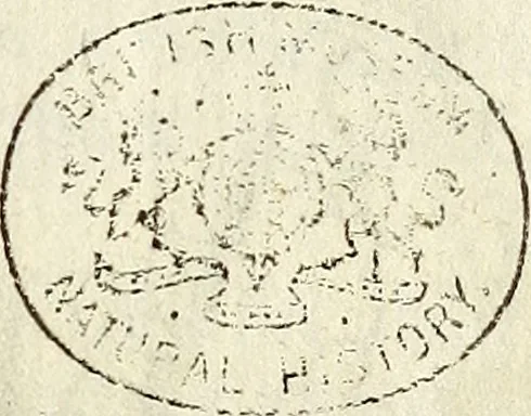 An illustration from Miscellanea Curiosa Medico-Physica Academiae Naturae Curiosorum, 1671, leaf 196
