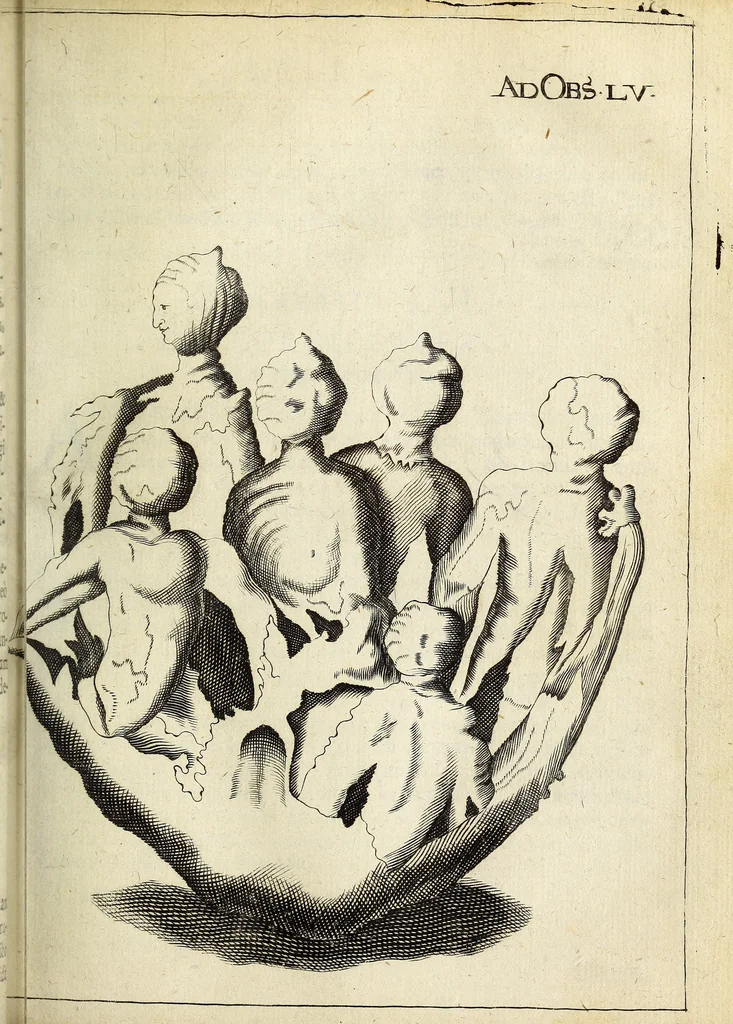 An illustration from Miscellanea Curiosa Medico-Physica Academiae Naturae Curiosorum, 1671, leaf 222