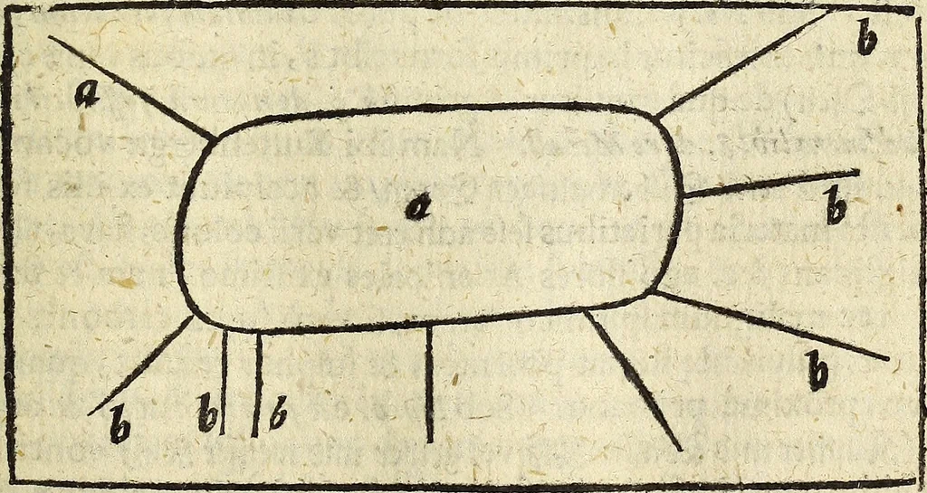 An illustration from Miscellanea Curiosa Medico-Physica Academiae Naturae Curiosorum, 1671, leaf 254