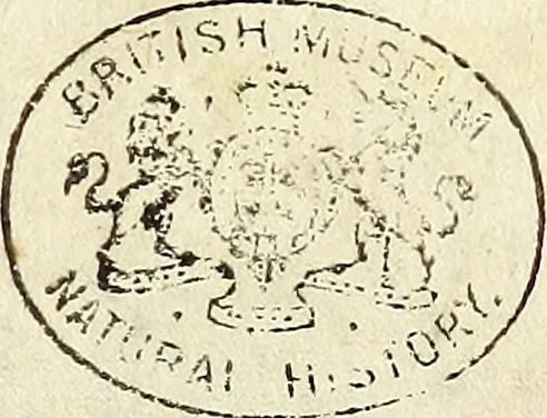 An illustration from Miscellanea Curiosa Medico-Physica Academiae Naturae Curiosorum, 1671, leaf 268
