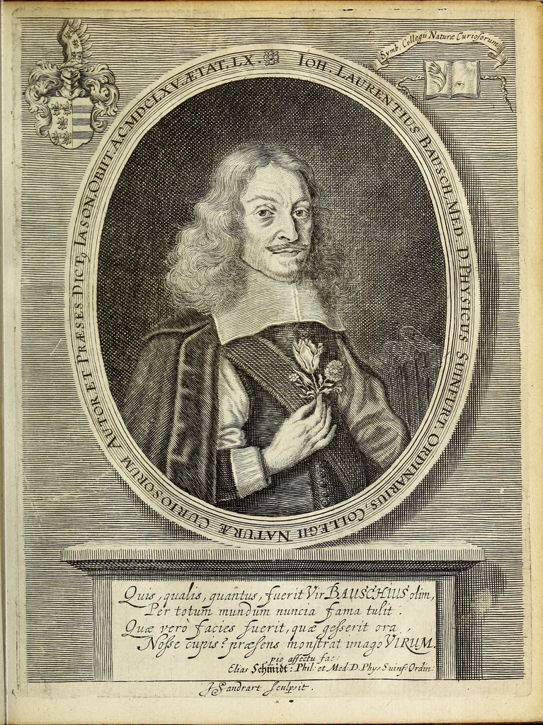 An illustration from Miscellanea Curiosa Medico-Physica Academiae Naturae Curiosorum, 1671, leaf 28