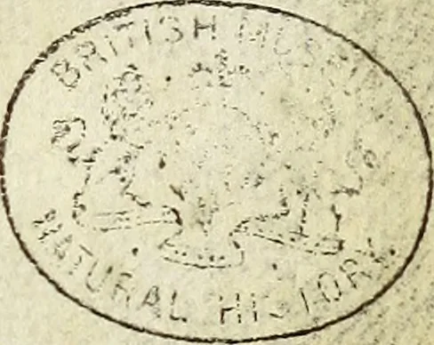 An illustration from Miscellanea Curiosa Medico-Physica Academiae Naturae Curiosorum, 1671, leaf 300