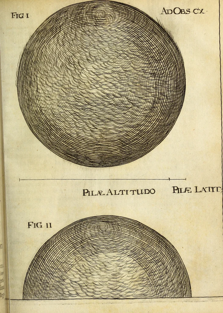 An illustration from Miscellanea Curiosa Medico-Physica Academiae Naturae Curiosorum, 1671, leaf 314