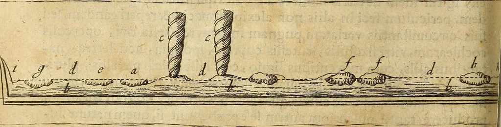 An illustration from Miscellanea Curiosa Medico-Physica Academiae Naturae Curiosorum, 1671, leaf 317
