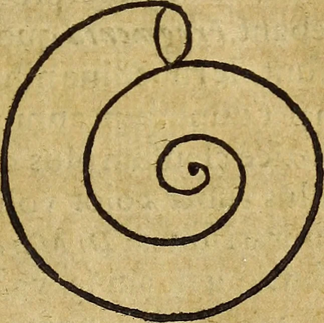 An illustration from Miscellanea Curiosa Medico-Physica Academiae Naturae Curiosorum, 1671, leaf 328
