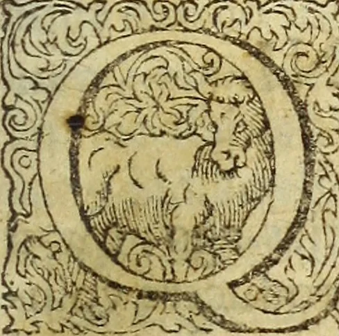 An illustration from Miscellanea Curiosa Medico-Physica Academiae Naturae Curiosorum, 1671, leaf 76