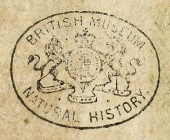 An illustration from Miscellanea Curiosa, sive Ephemiridum Medico-Physicarum Germanicarum Academiae Naturae Curiosorum, 1684, leaf 481