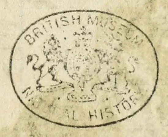An illustration from Miscellanea Curiosa, sive Ephemiridum Medico-Physicarum Germanicarum Academiae Naturae Curiosorum, 1684, leaf 49