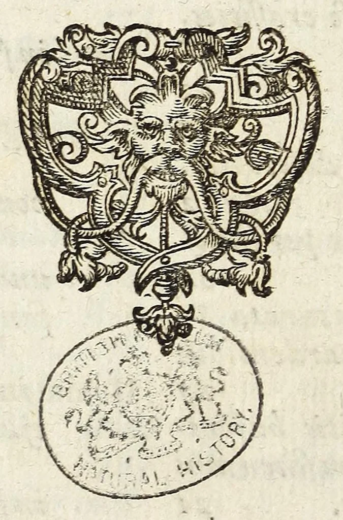 An illustration from Miscellanea Curiosa, sive Ephemiridum Medico-Physicarum Germanicarum Academiae Naturae Curiosorum, 1684, leaf 586