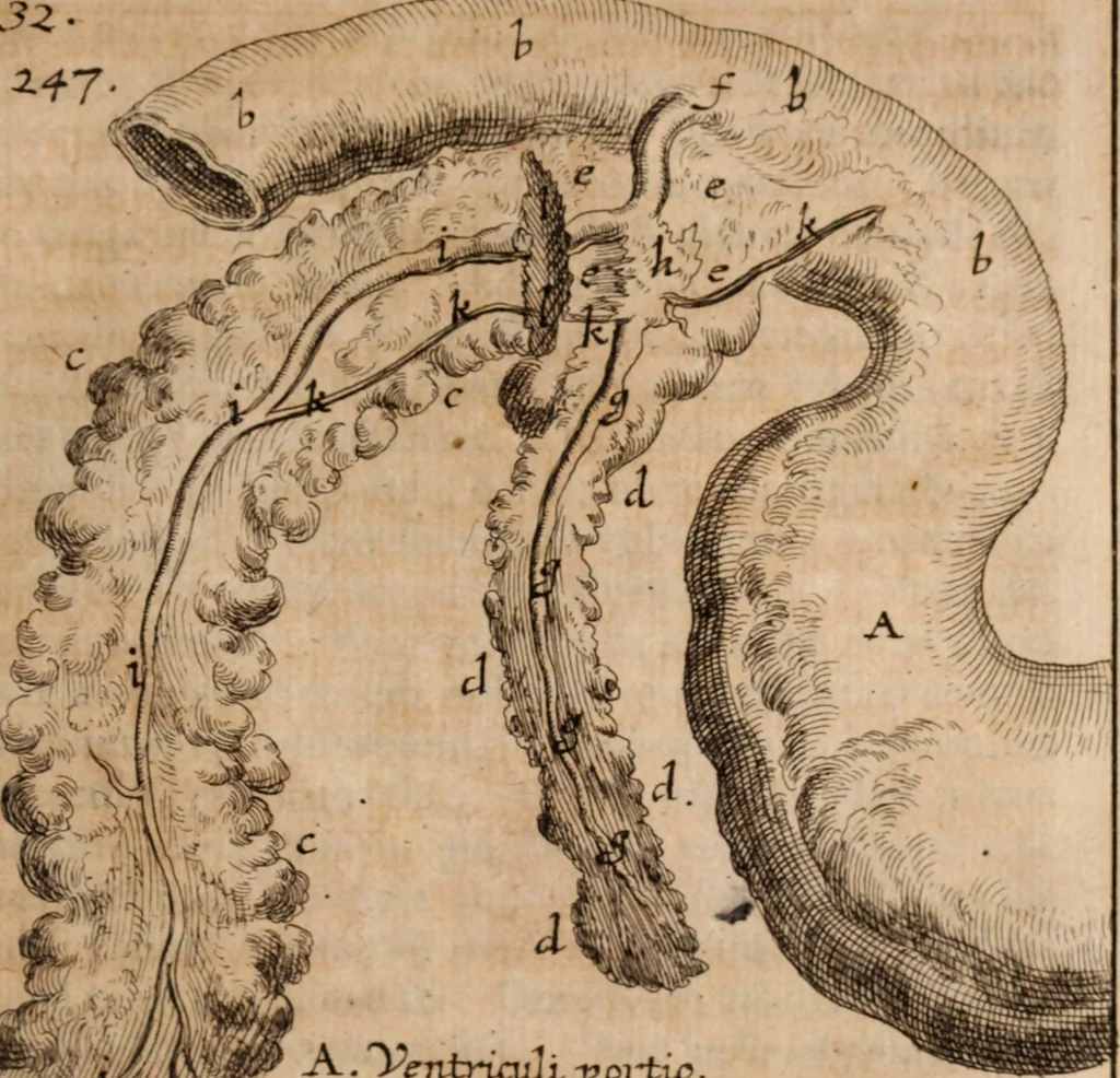 An illustration from Miscellanea curiosa, sive, Ephemeridum medico-physicarum Germanicarum Academiae Naturae curiosorum, 1688, leaf 1550