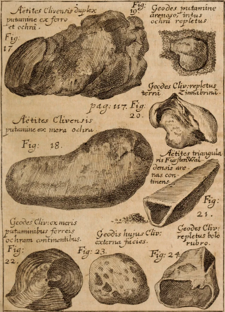 An illustration from Miscellanea curiosa, sive, Ephemeridum medico-physicarum Germanicarum Academiae Naturae curiosorum, 1688, leaf 168