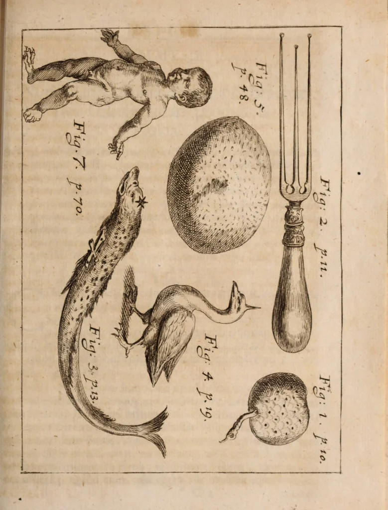 An illustration from Miscellanea curiosa, sive, Ephemeridum medico-physicarum Germanicarum Academiae Naturae curiosorum, 1688, leaf 1832