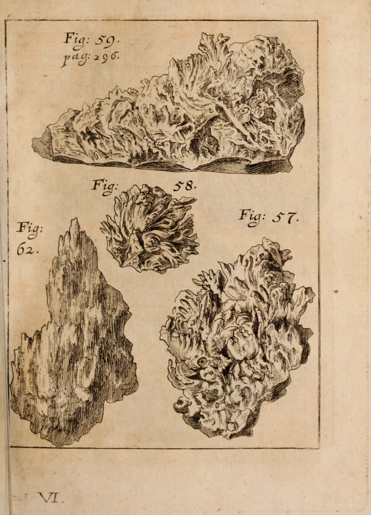 An illustration from Miscellanea curiosa, sive, Ephemeridum medico-physicarum Germanicarum Academiae Naturae curiosorum, 1688, leaf 372