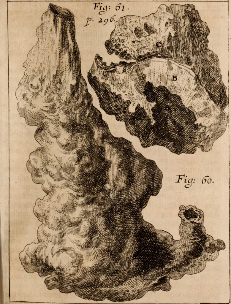An illustration from Miscellanea curiosa, sive, Ephemeridum medico-physicarum Germanicarum Academiae Naturae curiosorum, 1688, leaf 374