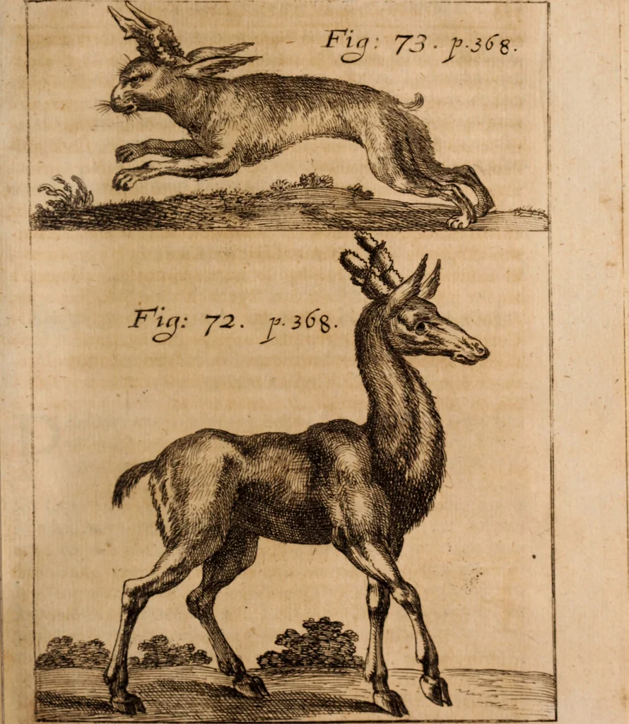 An illustration from Miscellanea curiosa, sive, Ephemeridum medico-physicarum Germanicarum Academiae Naturae curiosorum, 1688, leaf 454