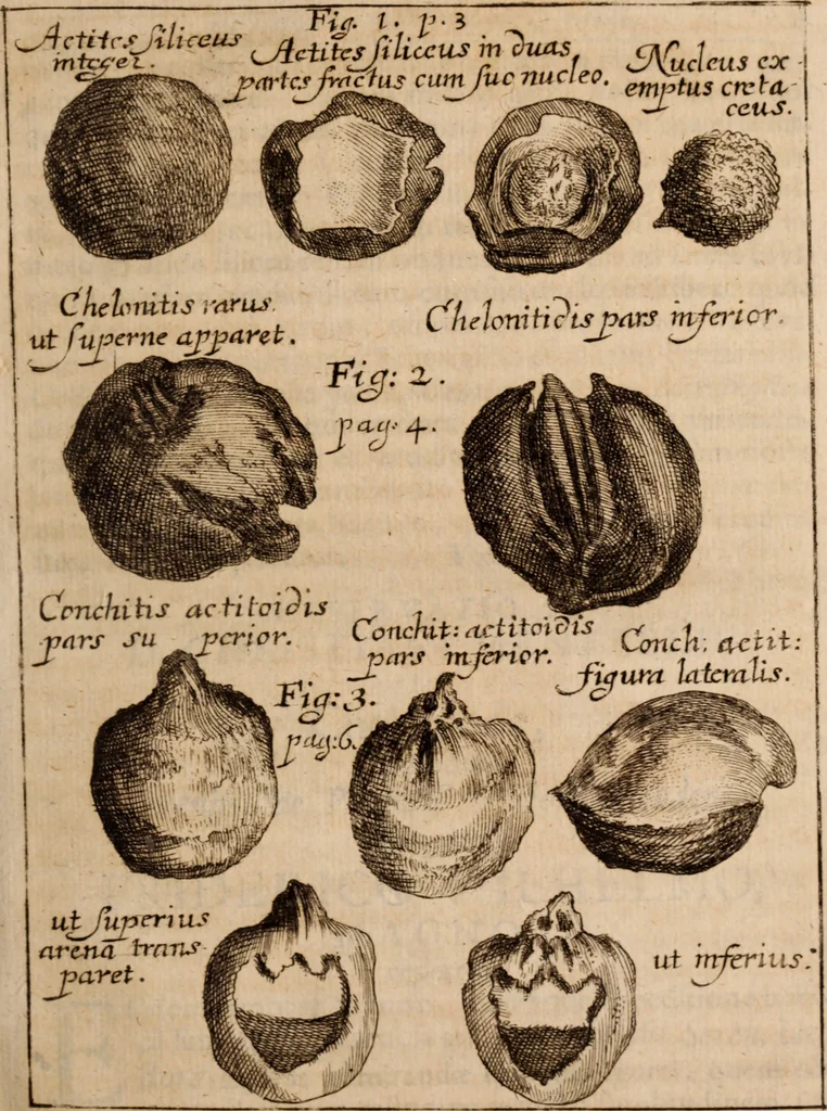 An illustration from Miscellanea curiosa, sive, Ephemeridum medico-physicarum Germanicarum Academiae Naturae curiosorum, 1688, leaf 48
