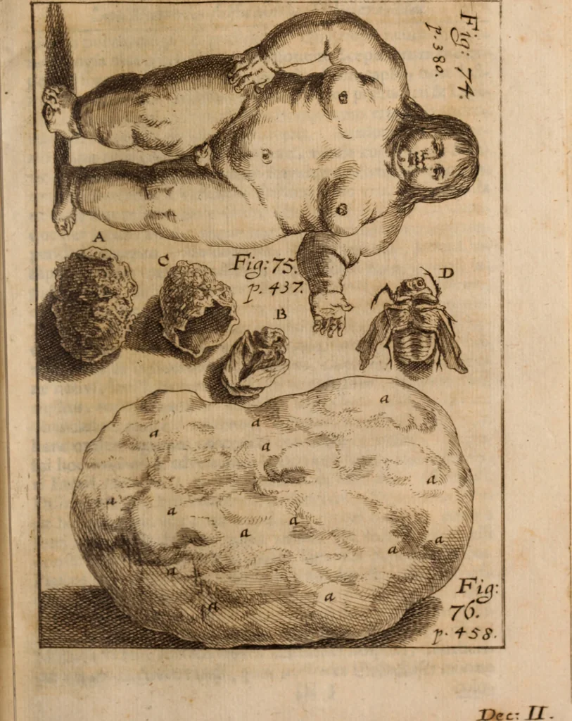 An illustration from Miscellanea curiosa, sive, Ephemeridum medico-physicarum Germanicarum Academiae Naturae curiosorum, 1688, leaf 524