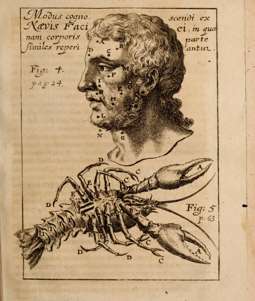 An illustration from Miscellanea curiosa, sive, Ephemeridum medico-physicarum Germanicarum Academiae Naturae curiosorum, 1688, leaf 72