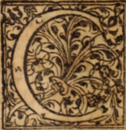 An illustration from Miscellanea curiosa, sive, Ephemeridum medico-physicarum Germanicarum Academiae Naturae curiosorum, 1688, leaf 854