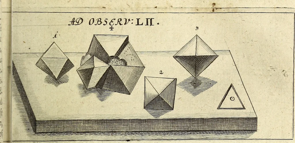 An illustration from Miscellanea Curiosa Medico-Physica Academiae Naturae Curiosorum, 1672, leaf 128