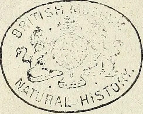 An illustration from Miscellanea Curiosa Medico-Physica Academiae Naturae Curiosorum, 1672, leaf 163