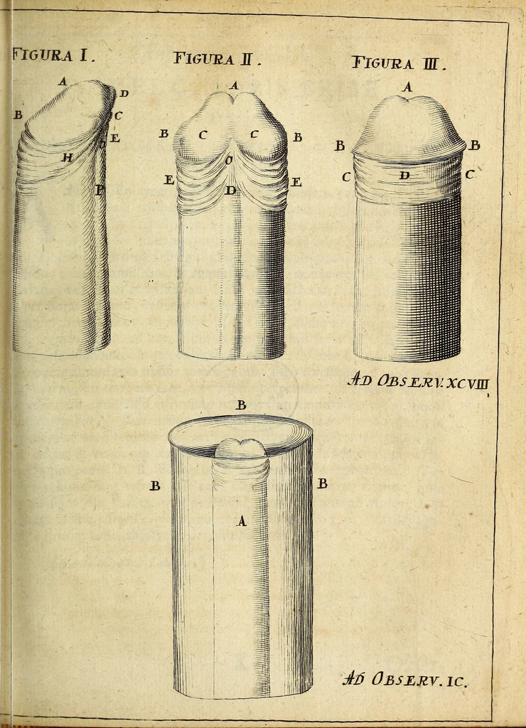 An illustration from Miscellanea Curiosa Medico-Physica Academiae Naturae Curiosorum, 1672, leaf 206