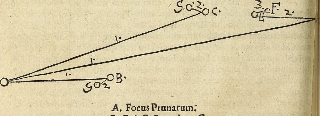 An illustration from Miscellanea Curiosa Medico-Physica Academiae Naturae Curiosorum, 1672, leaf 211