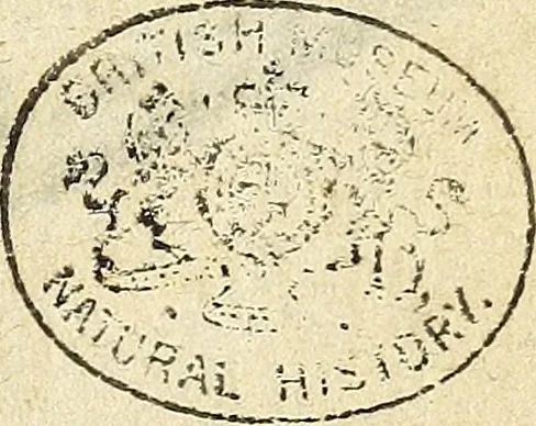 An illustration from Miscellanea Curiosa Medico-Physica Academiae Naturae Curiosorum, 1672, leaf 318
